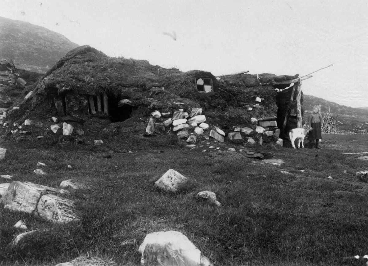 Robert Collett, Gamme med jente og kalv stående utenfor, muligens Finnmark. Serie fotografert av Robert Collett (1842-1913), amatørfotograf og professor i zoologi.