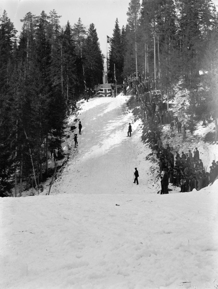 Johannes Larsen Alhaug, Hopprenn i Hamarbakken. Publikum ser på en skihopper i svevet i Hamarbakken.