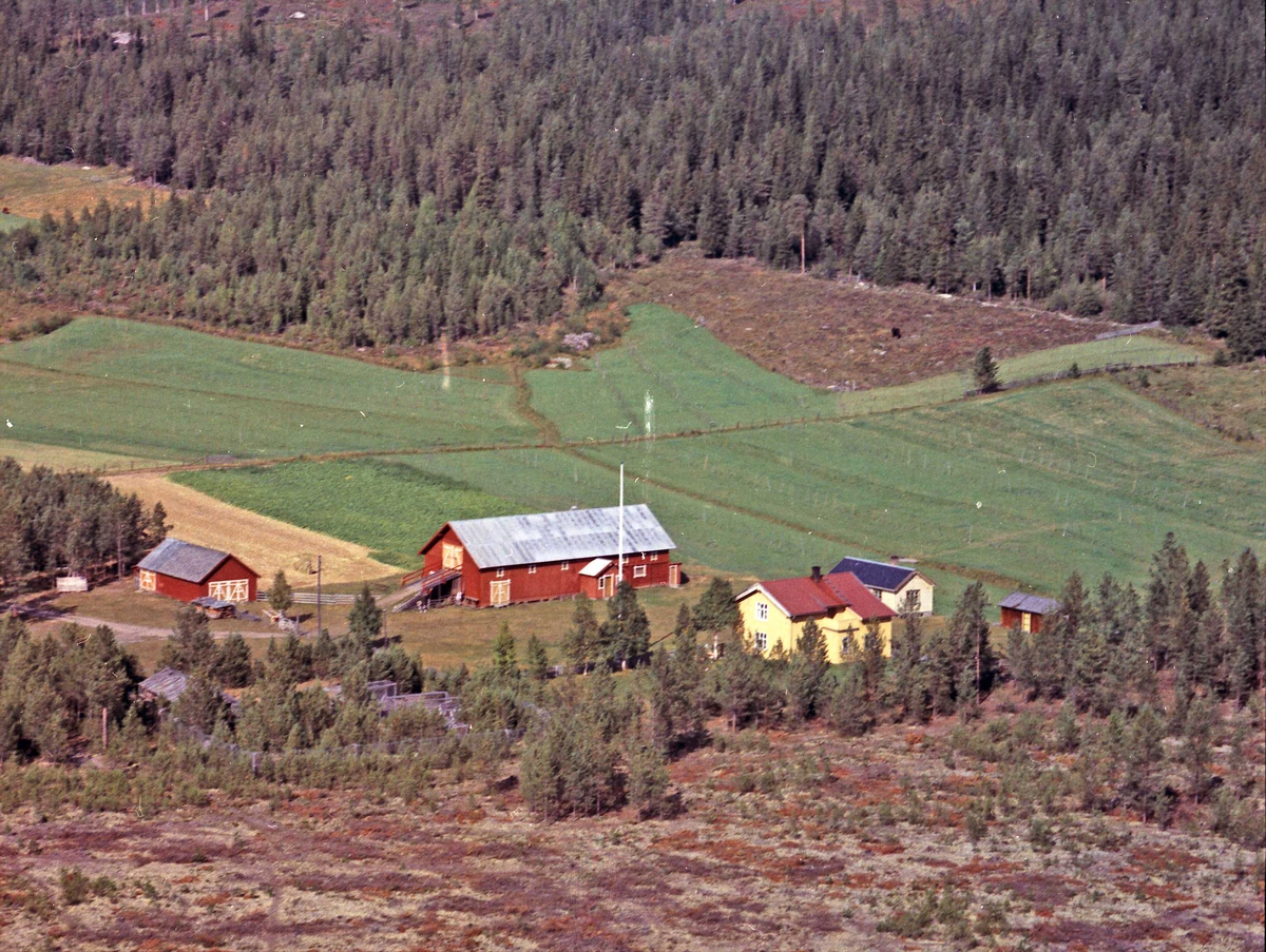 Widerøes Flyveselskap A/S, Gårdsbruk. Hoelset