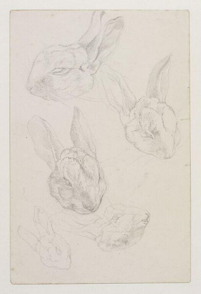 Potter, Beatrix, drawing