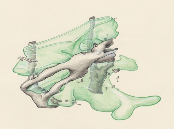 J Wetselaar-Whittaker, Human embryo