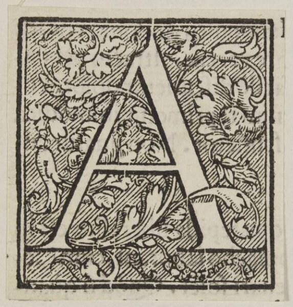 Unknown, Print