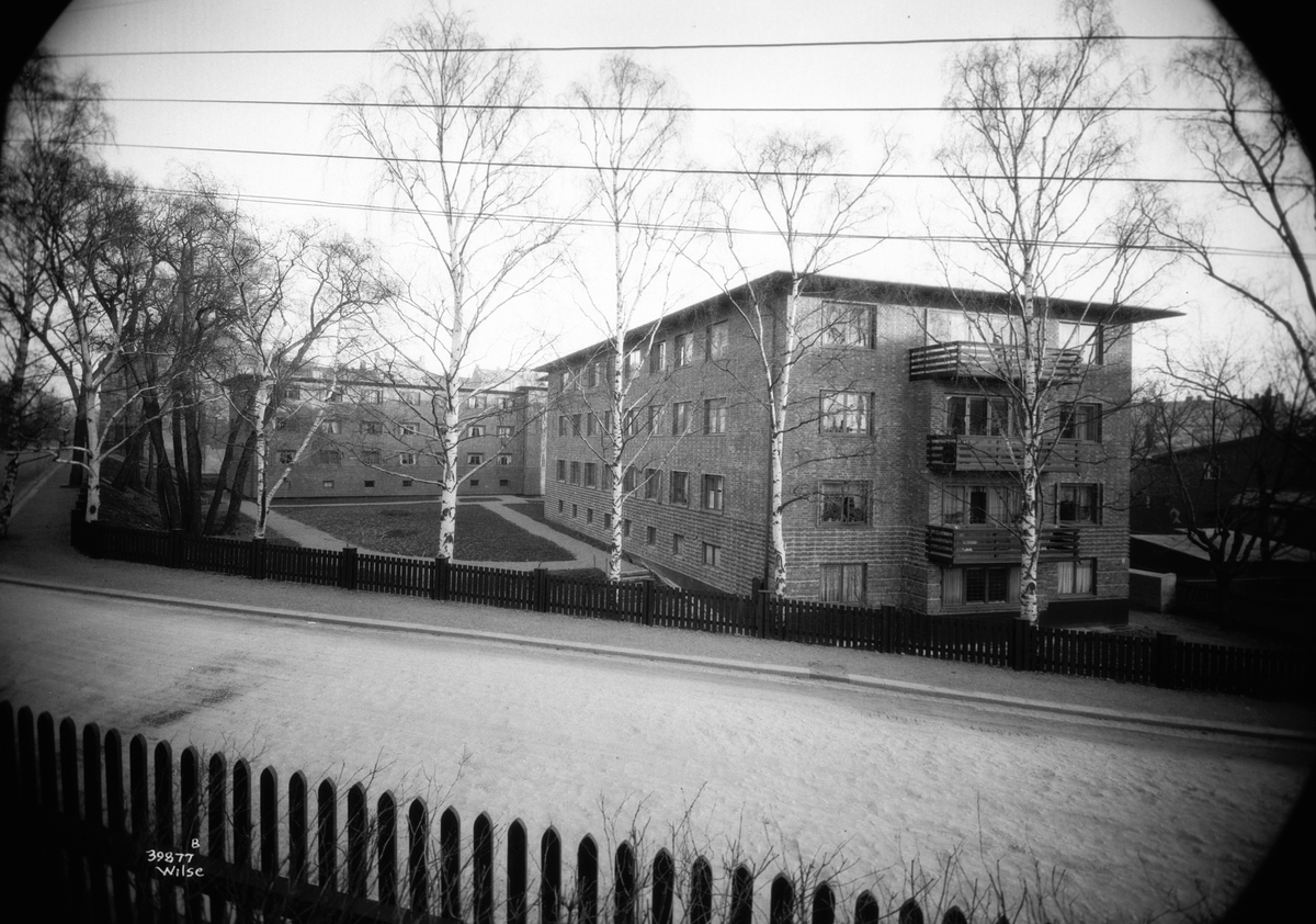 Anders Beer Wilse, Prot: Harbitz gate 5 Arkitekt Torp