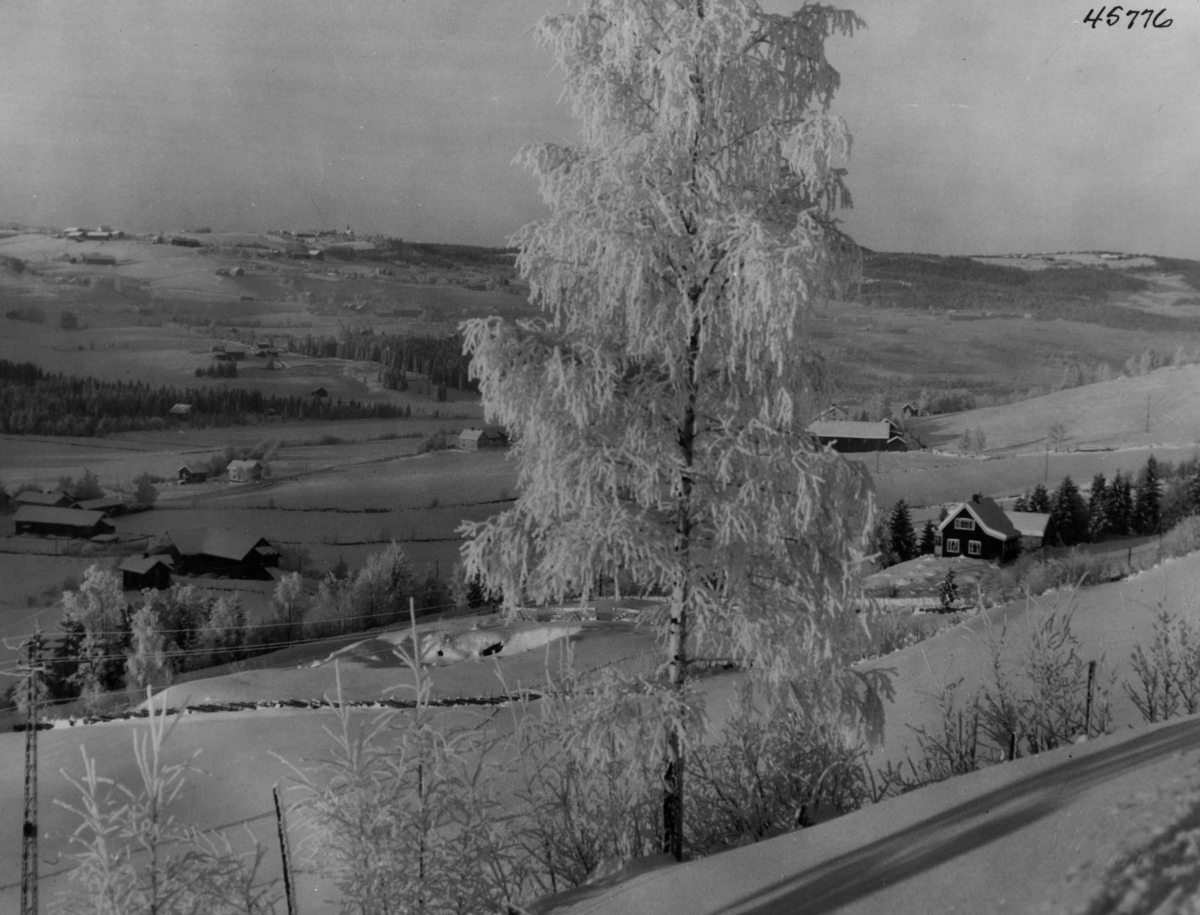 Anders Beer Wilse, Hadeland, sno, bebyggelse.