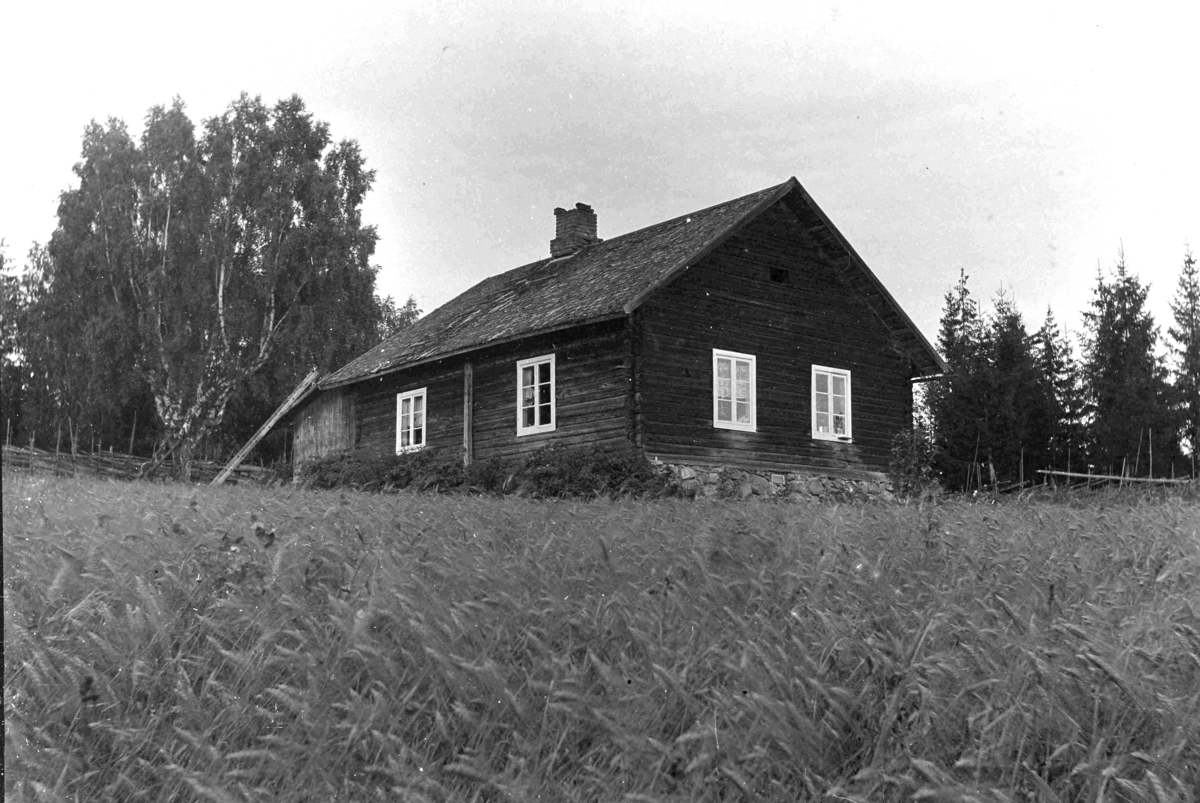 Ole Hansen Løken, HUSMANNSPLASS, KORNÅKER, UKJENT STED.