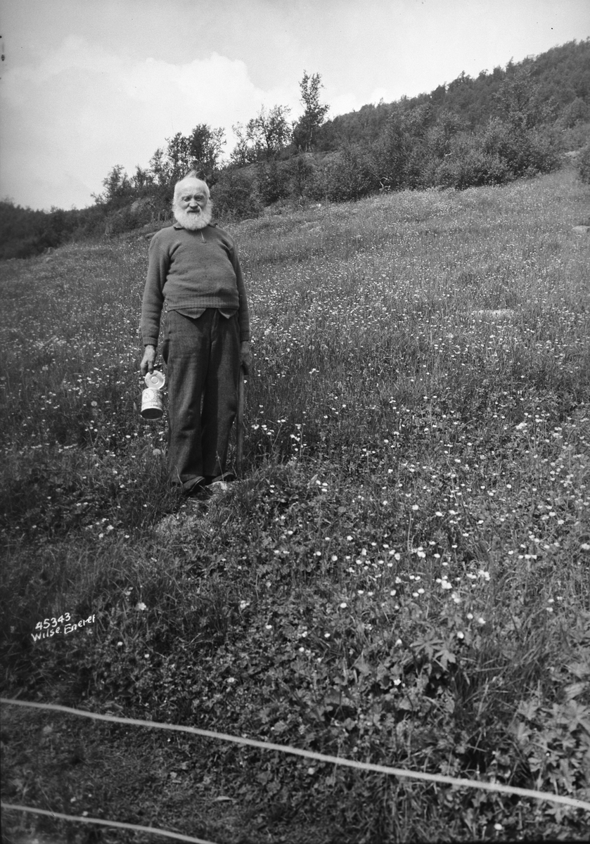 Anders Beer Wilse, Prot: Bjaaen Knut