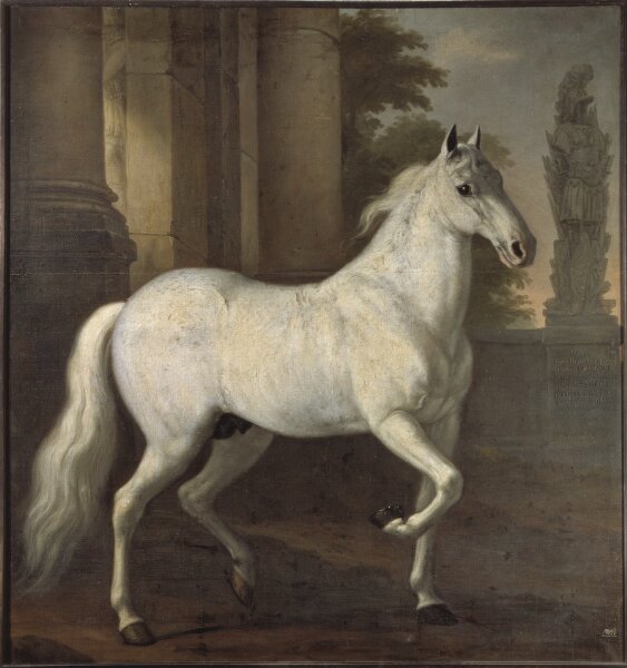 David Klöcker Ehrenstrahl, Karl XI:s livhäst Brilliant