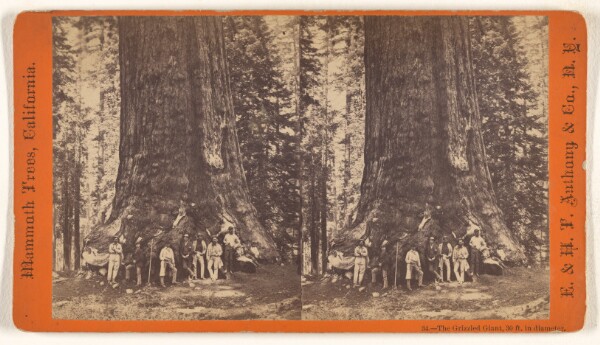 Edward and Henry T. Anthony & Co., The Grizzled Giant, 30 ft. in diameter.