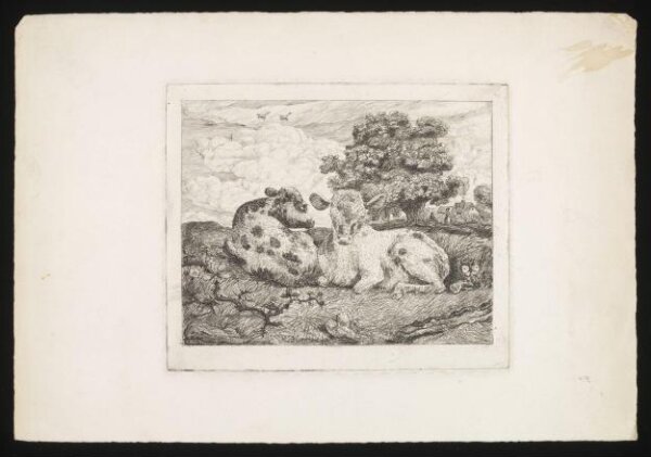 Unknown, Print