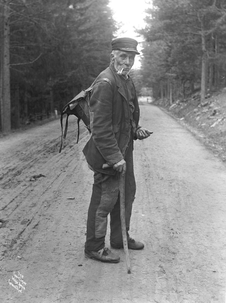 Anders Beer Wilse, Prot: Gammel tigger paa veien Sep. 1902