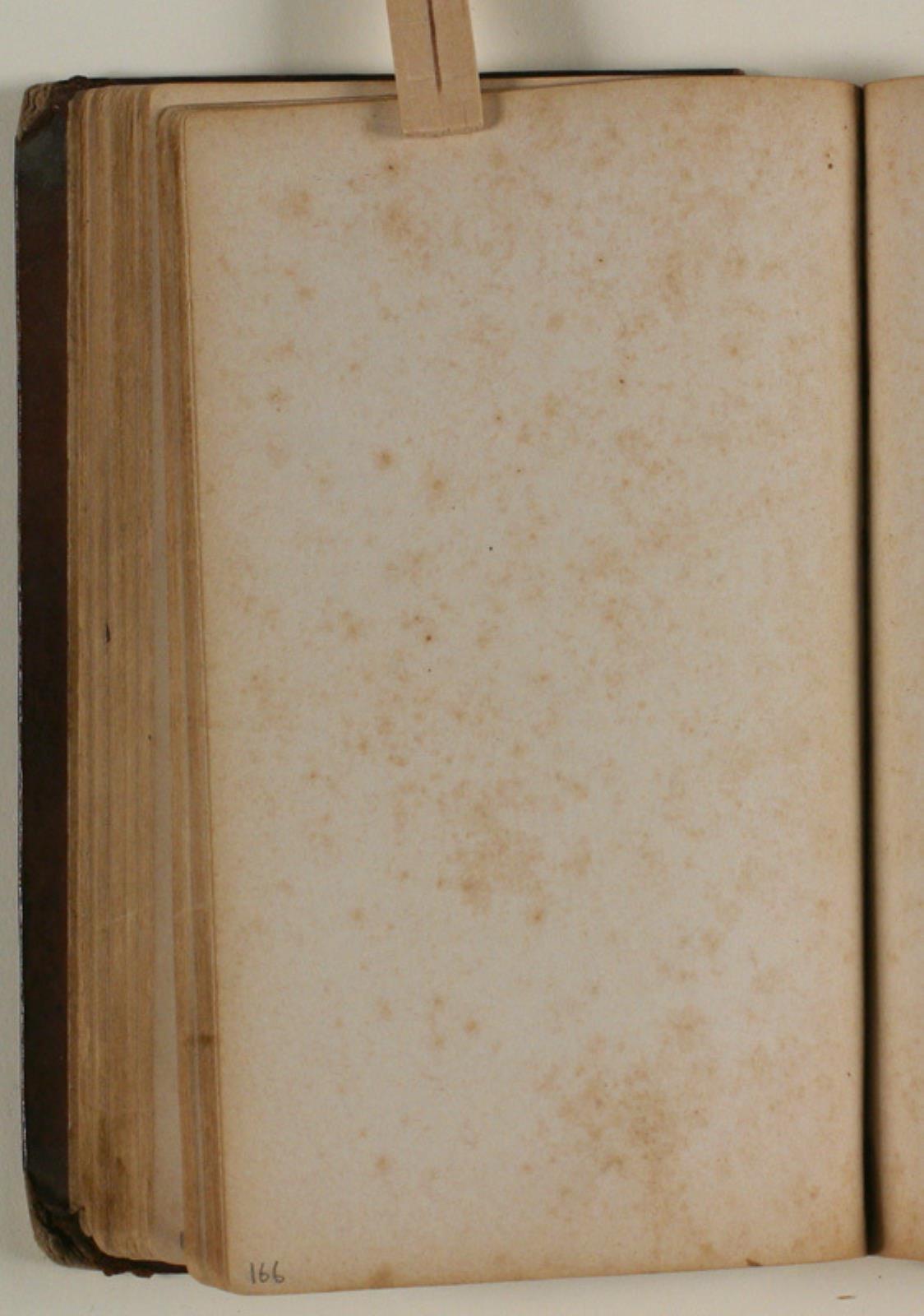Niels Larsen Stevns, Blank