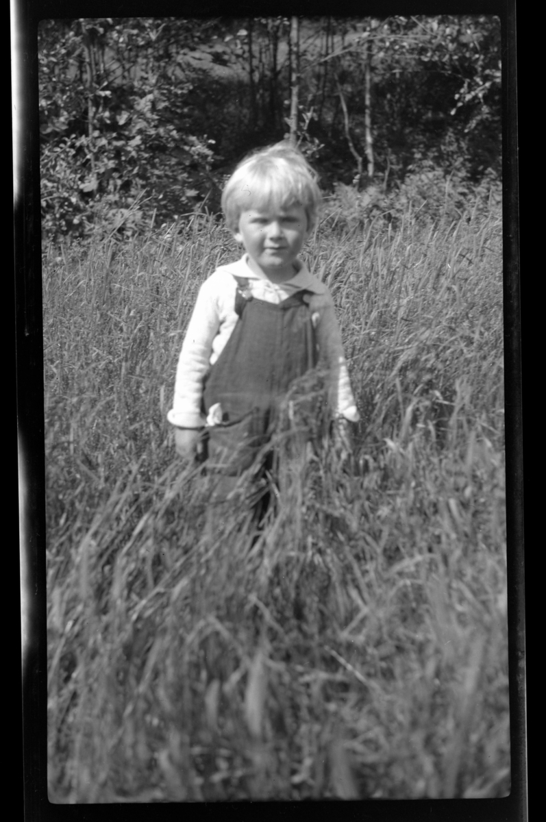 Rolf Sr. Sundt, NF.34664-162