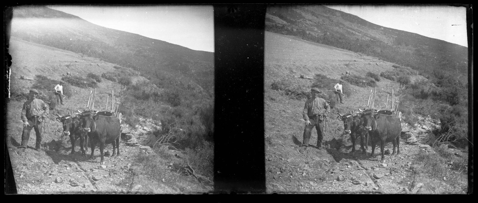 Desconegut, [Carro de transport a la Vall d'Ordesa]