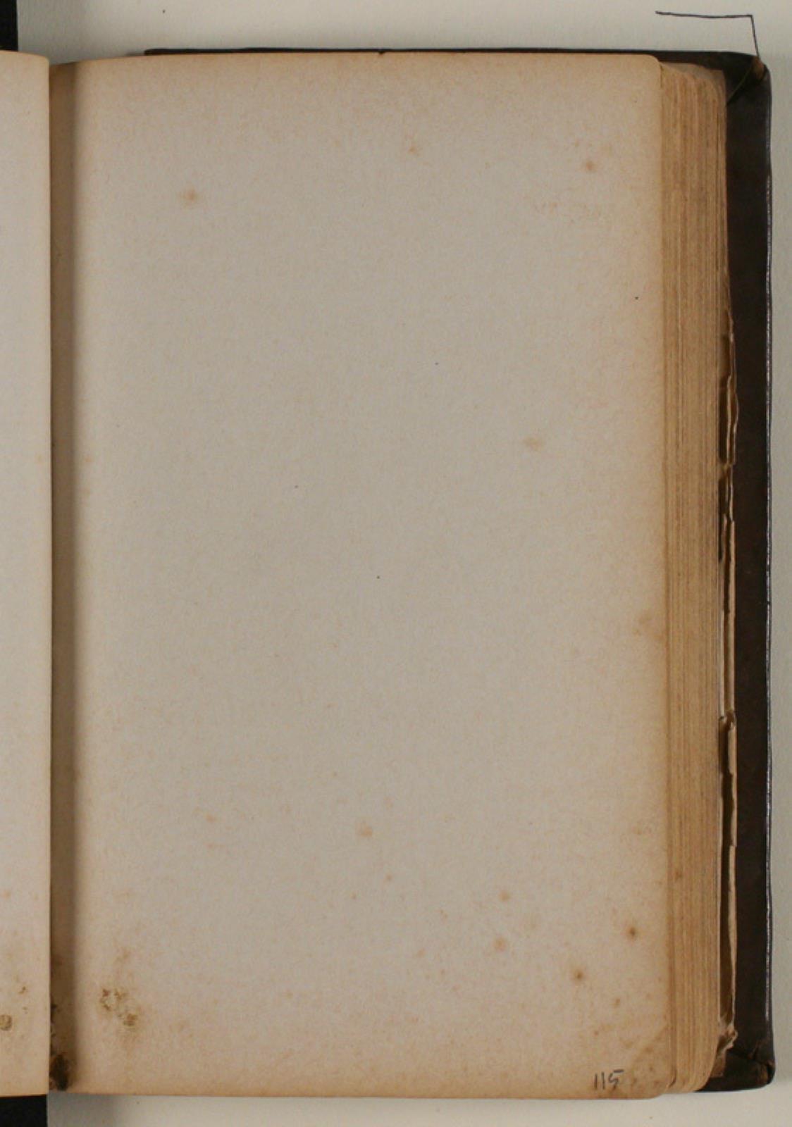 Niels Larsen Stevns, Blank