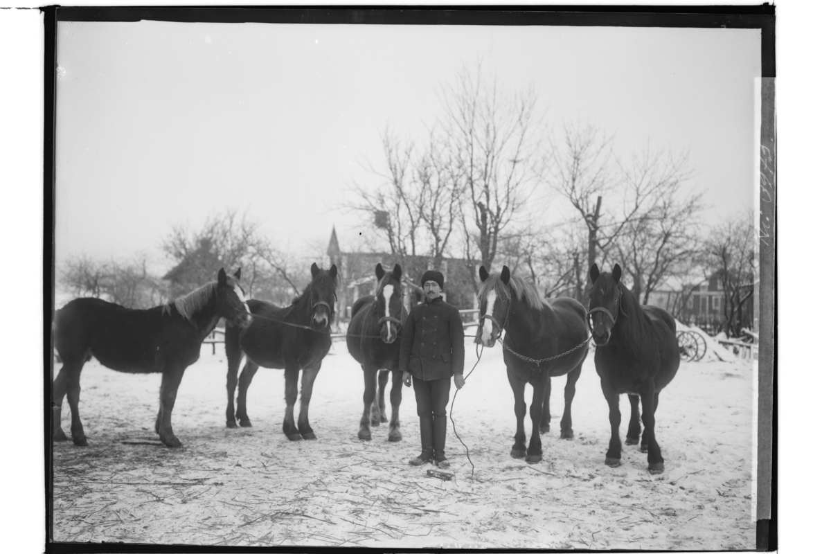 Samuel Lindskog, Man with five horses. John Öholm