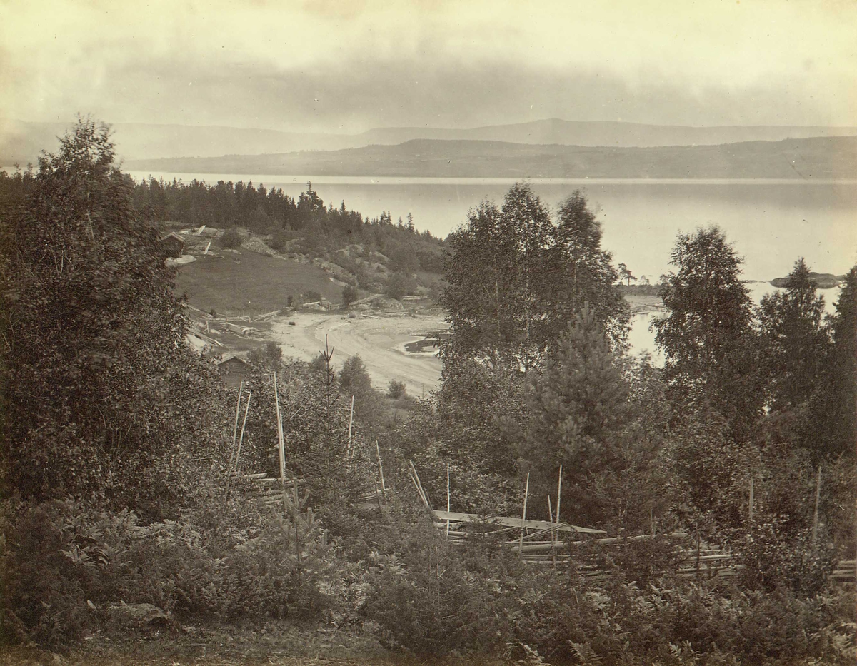 Henry Rosling, Landskap ved Tyrifjorden, nær Hollerud, Ringerike, Buskerud. "Tyri fiord near Hollerud in Modum". Fra serie norske landskapsfotografier tatt av den engelske fotografen Henry Rosling (1828-1911).