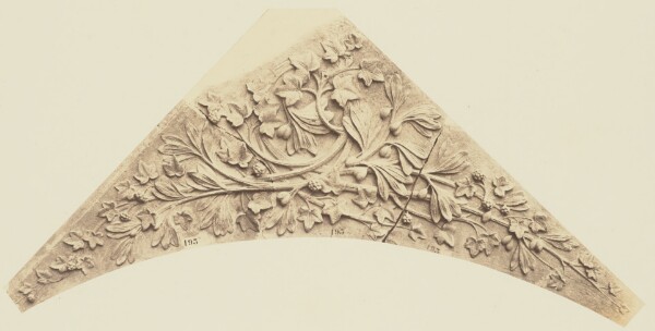Édouard Baldus, [Ornamental Foliage by Auguste Jean Baptiste Lechesne, Decoration of the Louvre, Paris]