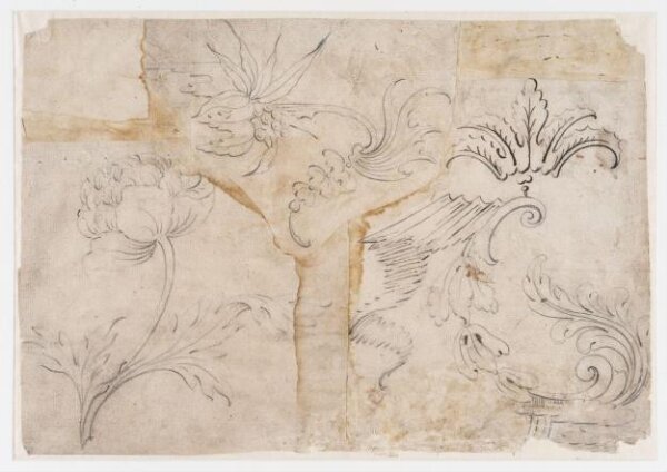 unknown, Drawing