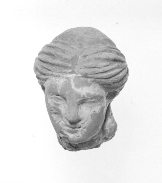 Unknown, Head of a Woman
