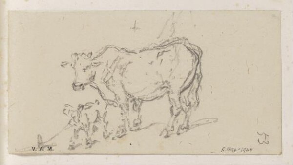 George Chinnery, A cow and calf