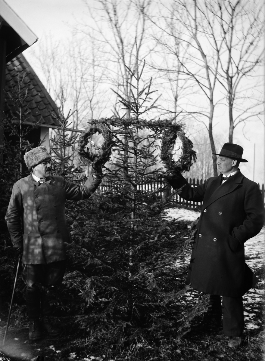 Paul Sandberg, Rekonstruktion av julgranar klädda med kransar och målade ägg, Knivsta socken, Uppland 1935
