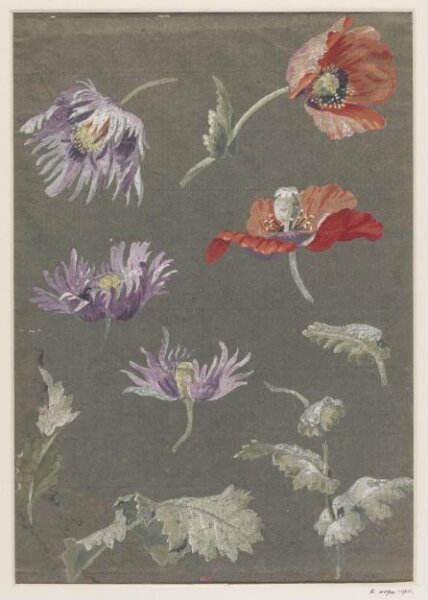 unknown, Drawing
