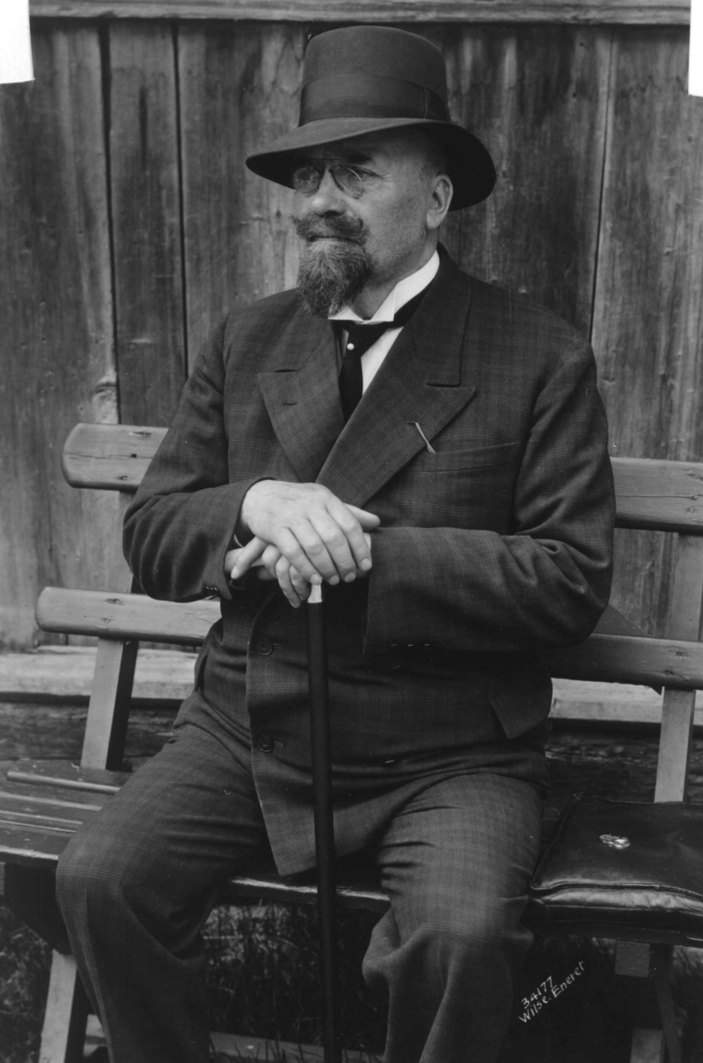 Anders Beer Wilse, Sandvig