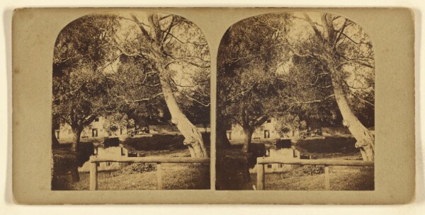 London Stereoscopic and Photographic Company, [View of country house & trees, England]