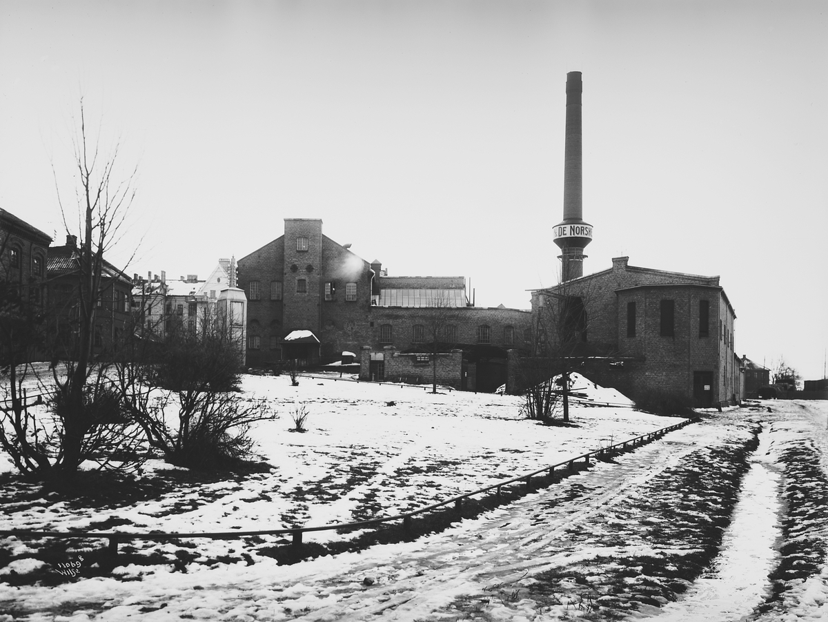 Anders Beer Wilse, Prot: Hamar Melkefabrik