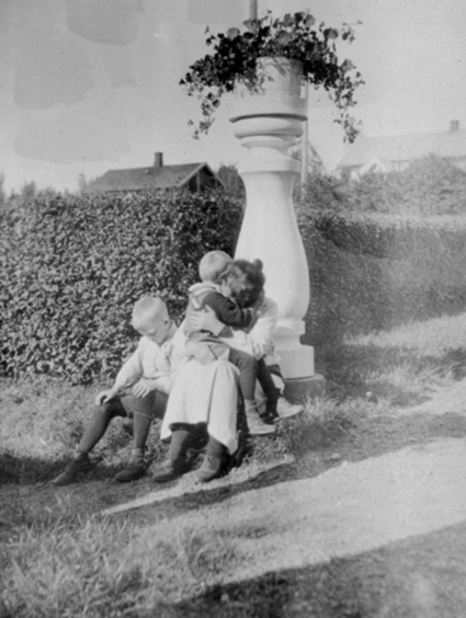 Anno Domkirkeodden, EKSTR: HASSELBAKKEN HAGE, BLOMSTERSØYLE, HEKK, GR: 3, HASSELBAKKEN, KLEVFOS, ÅDALSBRUK, INDUSTRIMUSEUM Løten.