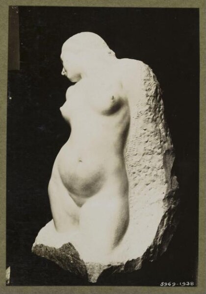 unknown, Photograph