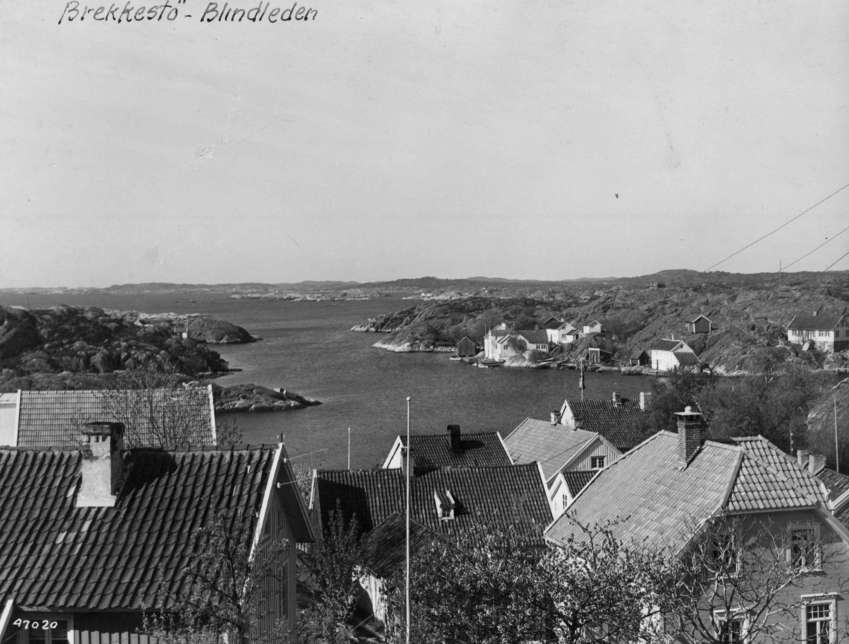 Anders Beer Wilse, Brekkesto, Blindleia