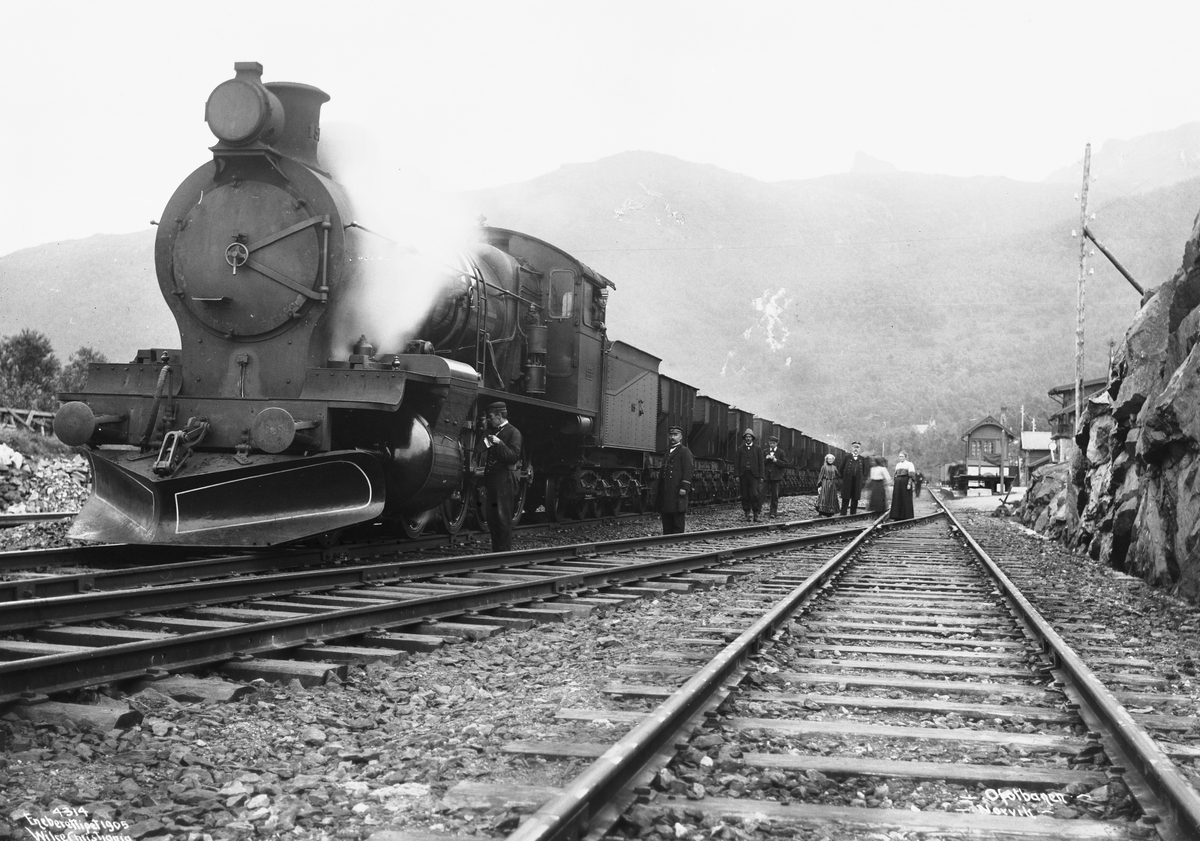 Anders Beer Wilse, Prot: Narvik - Ofotbanen Malmtog ved Narvik 1906