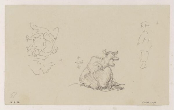 George Chinnery, A cow seen from the rear