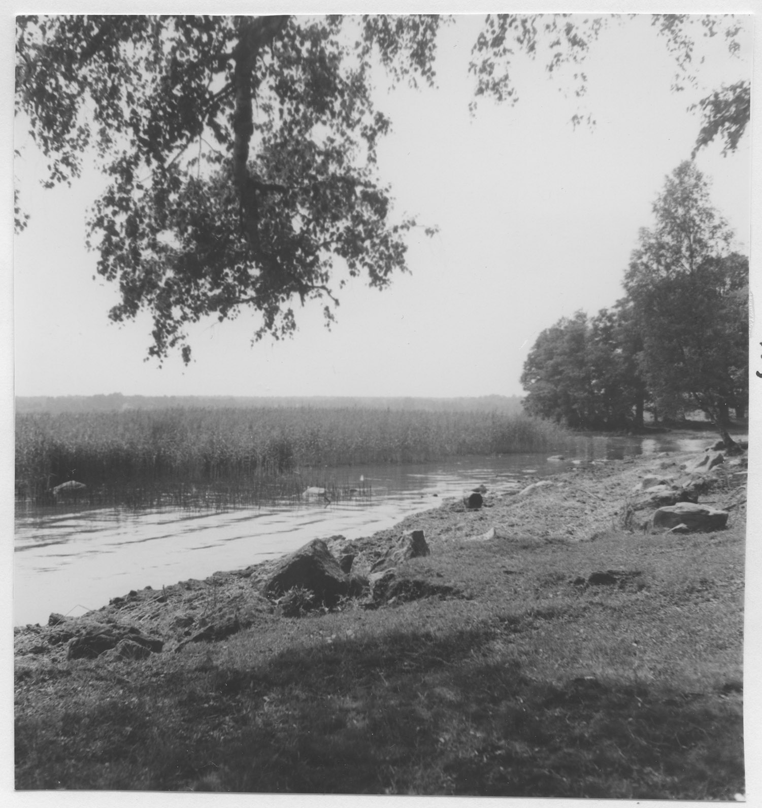 Mårten Sjöbeck, Västerängen