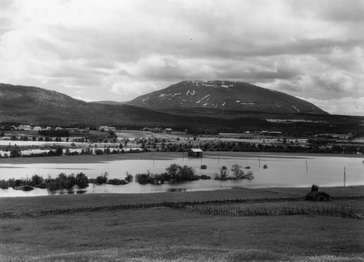 Anders Beer Wilse, Tronfjell, Tynset, Østerdalen, Hedmark 1935. Trondfjell med Glomma.