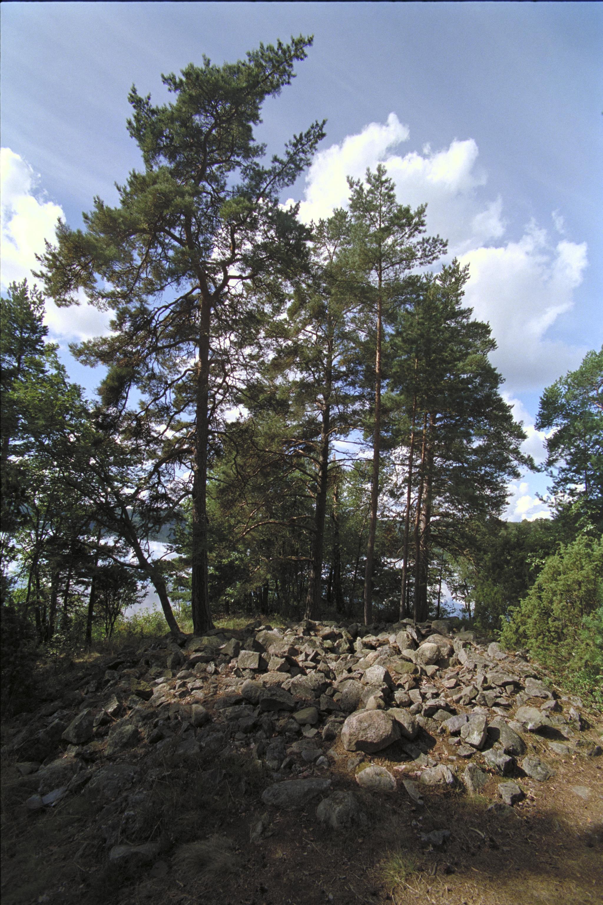 Bengt A Lundberg, Tisselskog 16:2