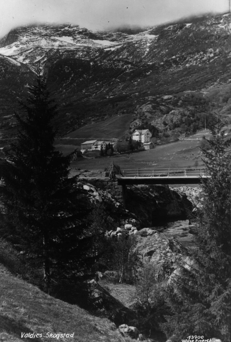 Anders Beer Wilse, Oversiktsbilde Skogstad Valdres