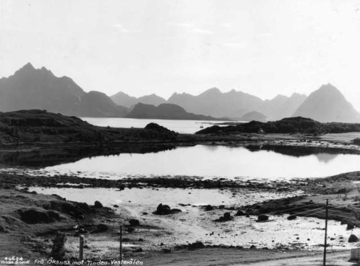 Anders Beer Wilse, -5919