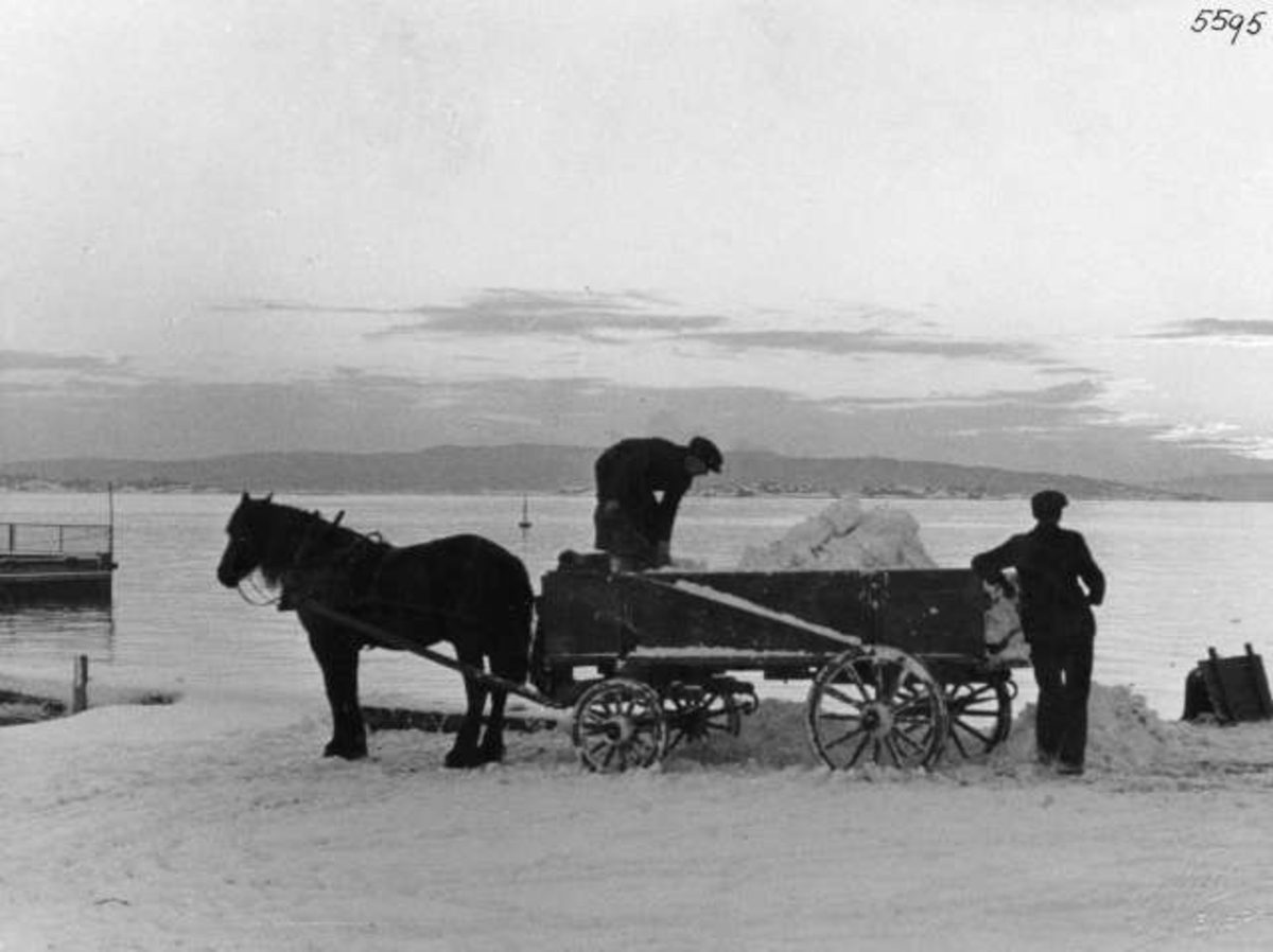 Anders Beer Wilse, -8347