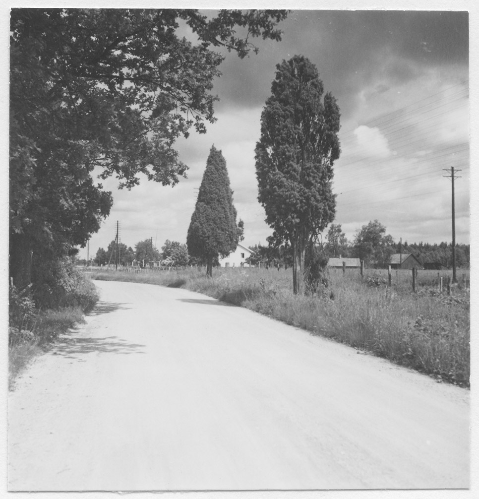 Mårten Sjöbeck, Vägen Ryd-Fridafors