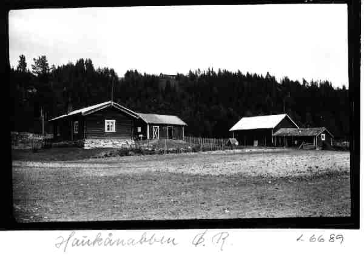 Per K. Lien, Haukånabben, Øvre Rendal, Rendalen