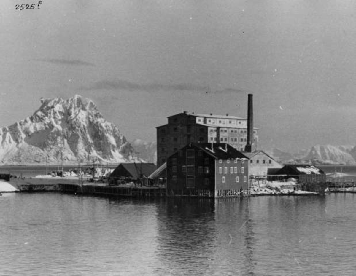 Anders Beer Wilse, Antakelig et fiskemottak i Svolvær.