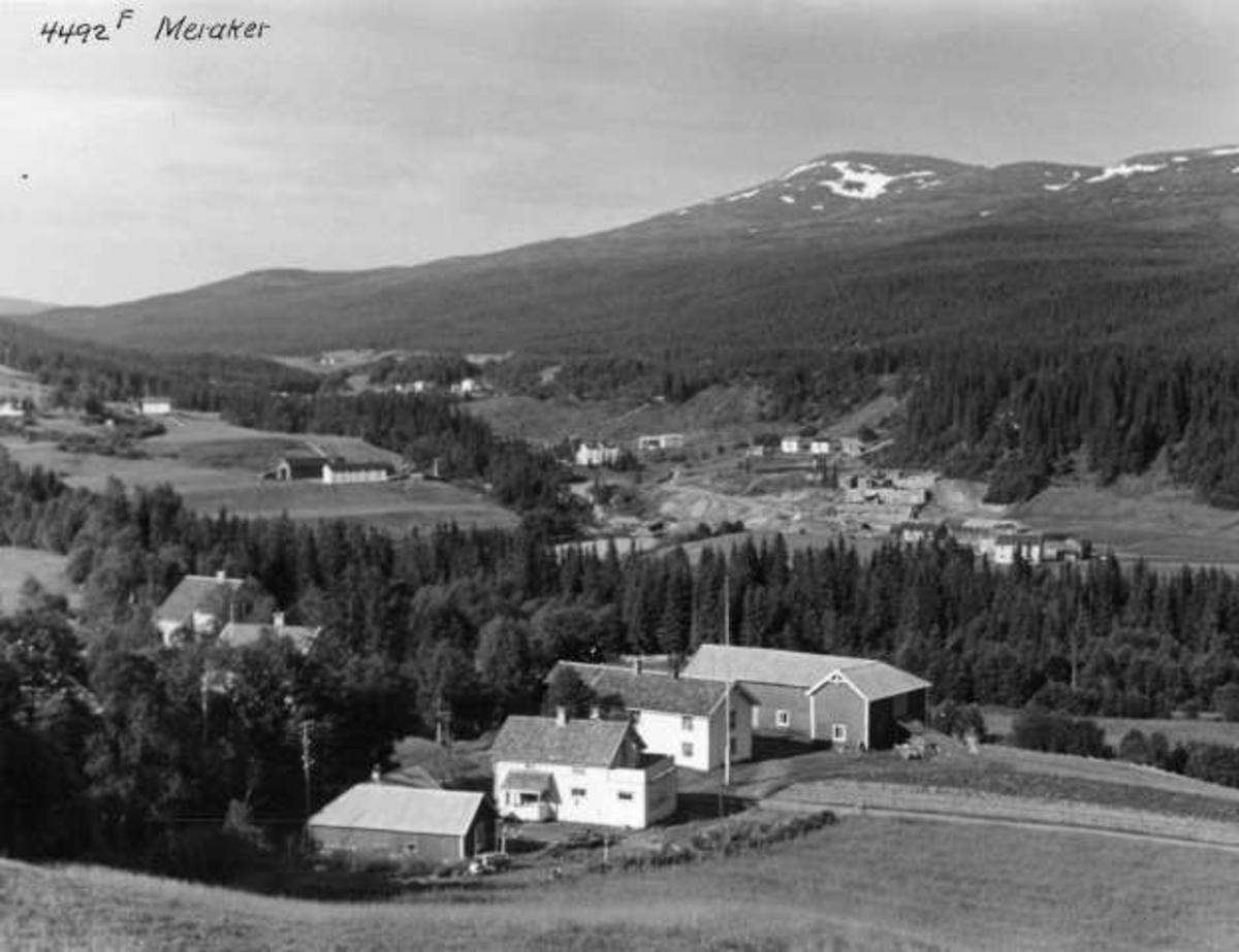 Anders Beer Wilse, -5752