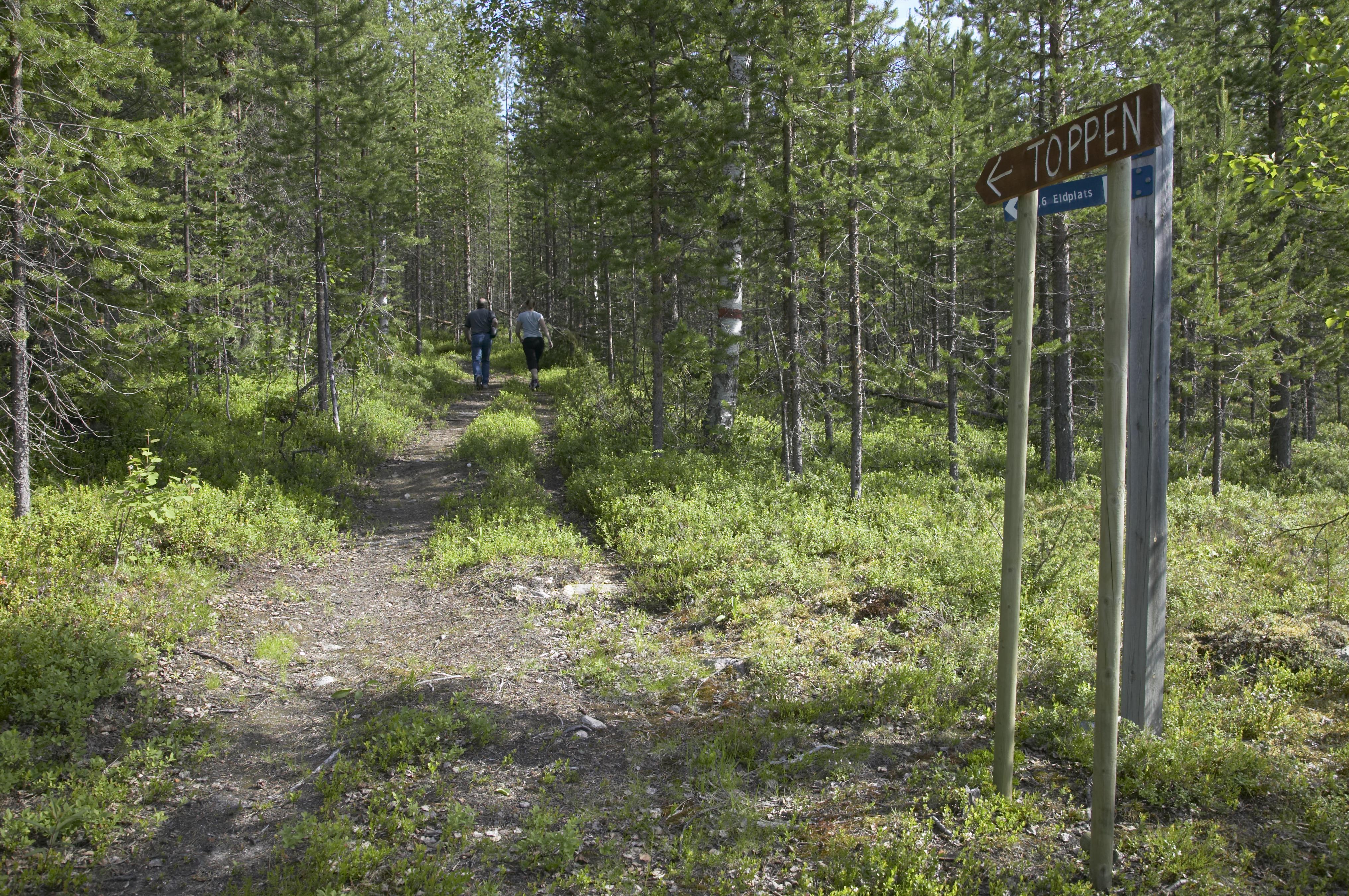 Bengt A Lundberg, Struves meridianbåge
