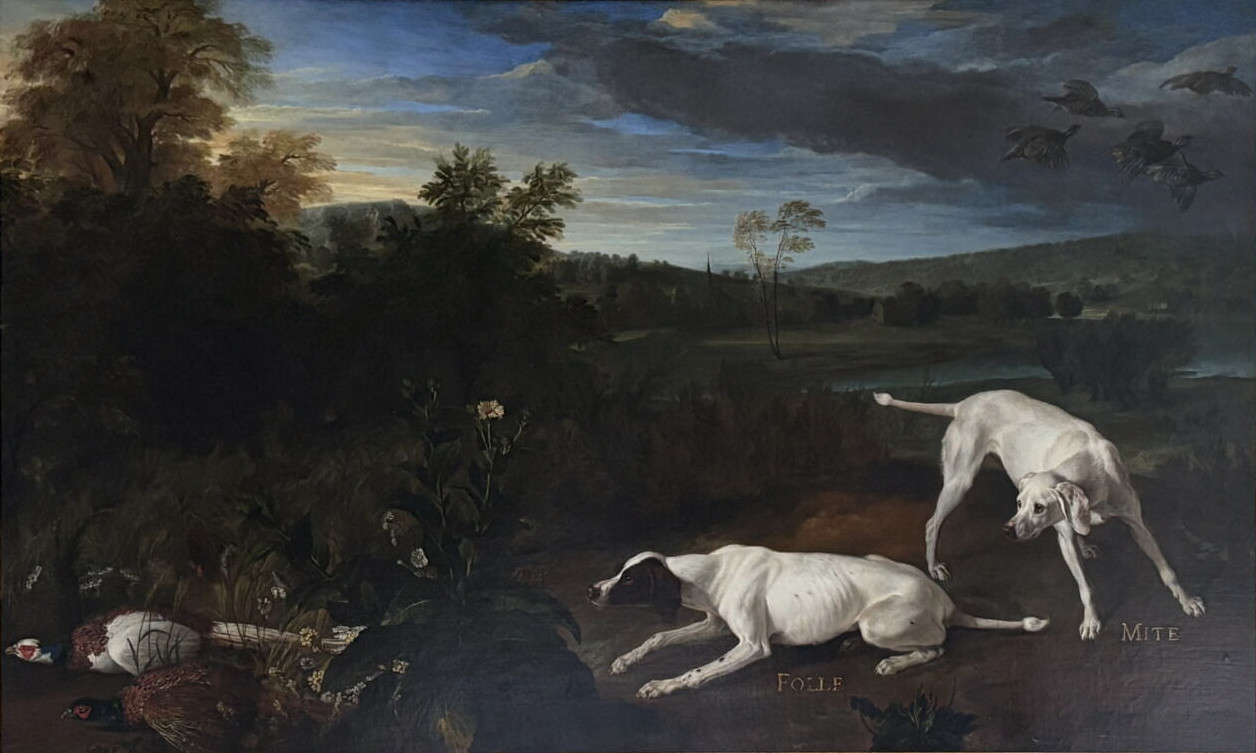 Alexandre-François Desportes, Folle et Mite, chiennes de Louis XIV