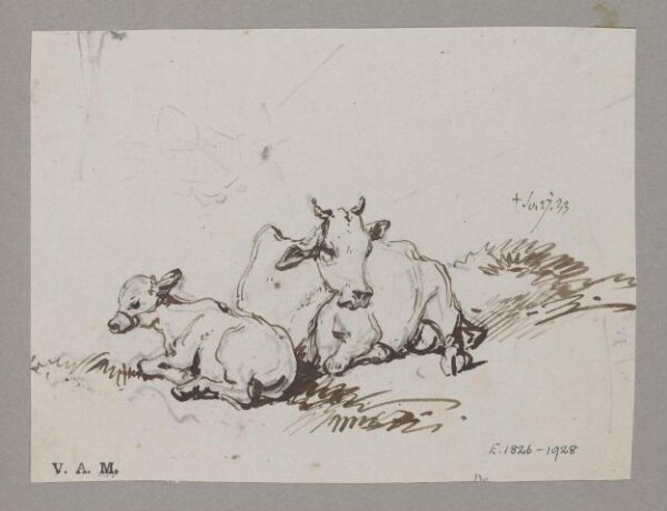 George Chinnery, A cow and calf