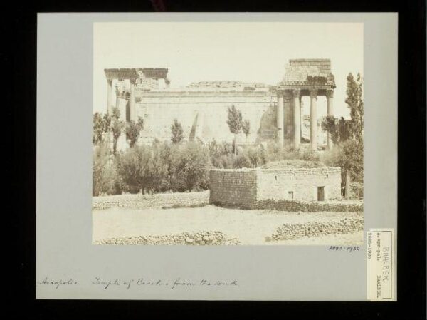 anonymous, Photograph