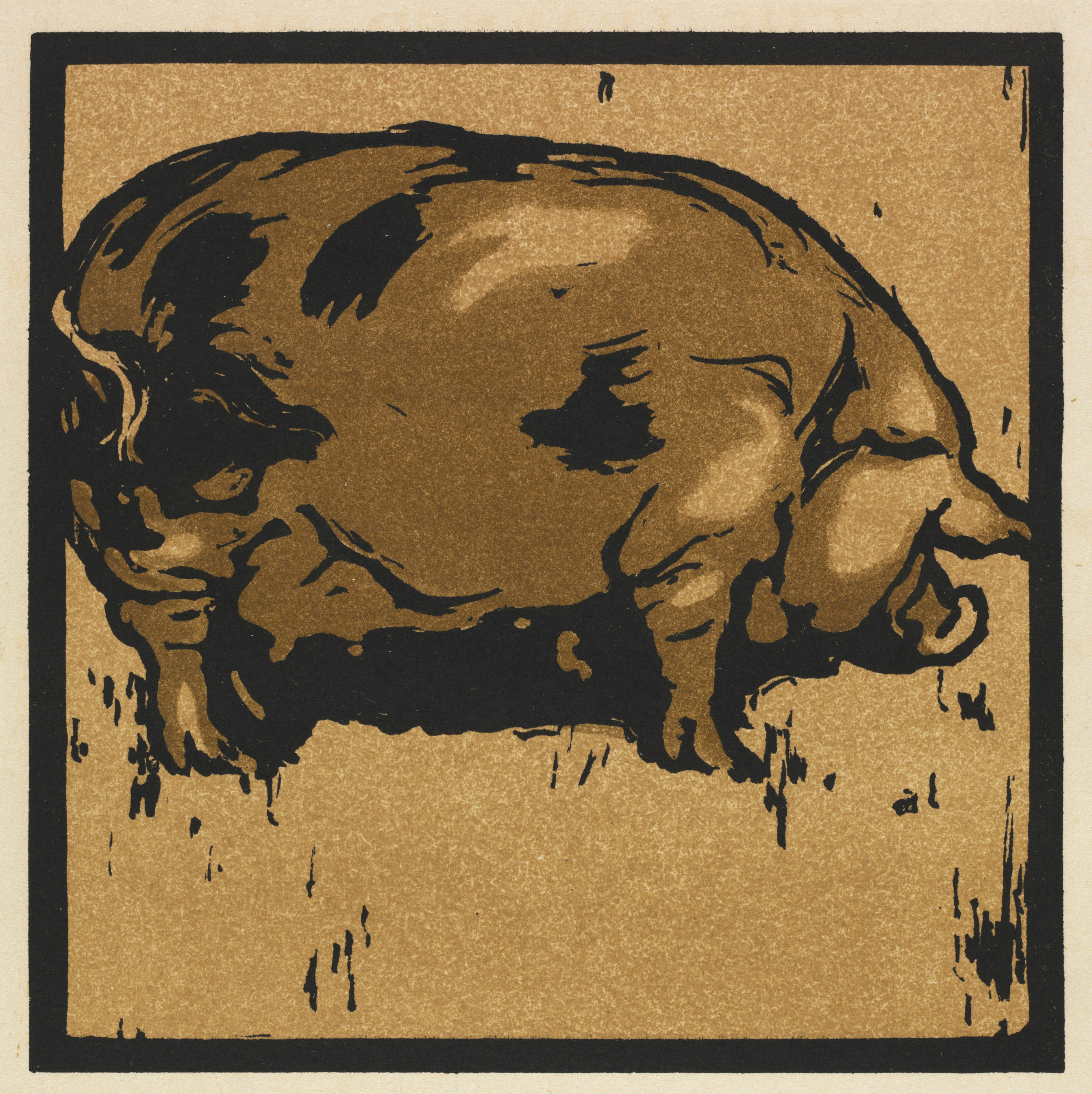 William Nicholson, The Square Book of Animals: The Learned Pig