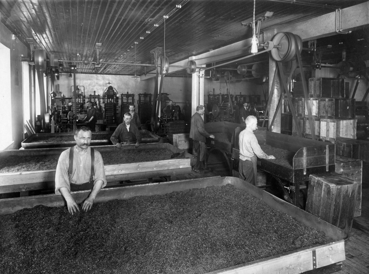 Narve Skarpmoen, Produksjon av tobakk hos Tiedemanns Tobaksfabrik. Trolig pipetobakkproduksjon.